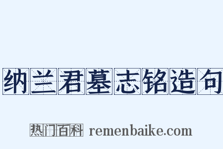 纳兰君墓志铭造句是什么意思的图片